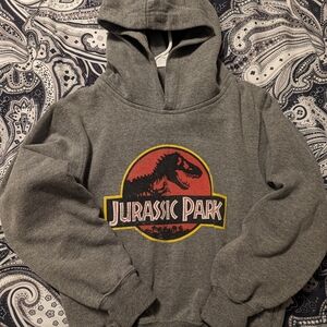 Official Universal Parks Jurassic Park Gray Kids Hoodie